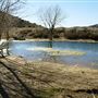Firestone Pond