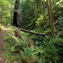 Russian Gulch State Park (SP) / Russian Gulch Bridge - Highway 1