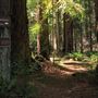 Faulkner County Park