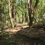 Faulkner County Park