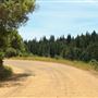 Peachland Road