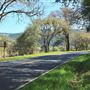 Highway 128 - Anderson Valley corridor