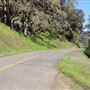 Mountain House Road