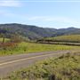 Mountain House Road