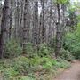 Jug Handle State Natural Reserve (SNR)