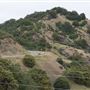 Boonville-Ukiah Road - Highway 253