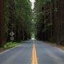 Navarro River Redwoods State Park (SP)