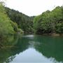 Navarro River - located in Hendy Woods State Park (SP)