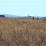 Noyo Headlands Park
