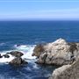 Bodega Bay Coast