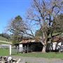 Browder Ranch