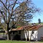 Browder Ranch