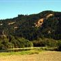 Casini Ranch Family Campground
