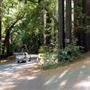 Cazadero Rd