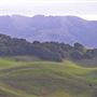 Chileno Valley Road