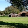 Cotati