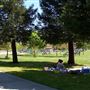 Finley Community Park