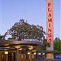 Flamingo Resort