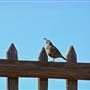 Fort Ross State Historic Park (SHP)