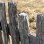 Fort Ross State Historic Park (SHP)