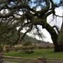 Jack London State Historic Park (SHP)