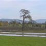 Laguna de Santa Rosa Trail