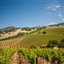 Kunde Family Winery