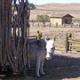 Petaluma Adobe State Historic Park (SHP)