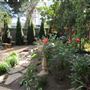 Rinehart Property