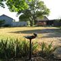 Siesta Farm