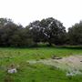 Tom Scott Ranch