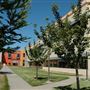 Sonoma Mountain Village / SOMO Village