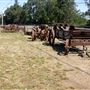 Stoke Ranch