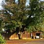 The Russian River Rose Company