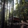 Westminster Woods