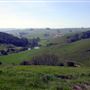 Tresch Dairy