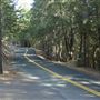 Greenwood Road