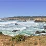 Jug Handle State Natural Reserve (SNR)