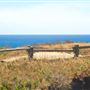 Mendocino Headlands State Park (SP)