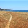 Mendocino Headlands State Park (SP)