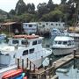 Noyo Harbor / Noyo Harbor Village / Noyo Harbor Drive