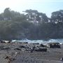 Buckhorn Cove