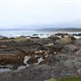 MacKerricher State Park (SP)