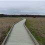 MacKerricher State Park (SP)