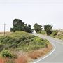 Mountain View Road