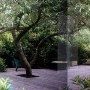 The Bodega Bay Secret Gardens - fka Compass Rose Garden