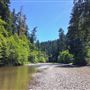 Navarro River - located in Hendy Woods State Park (SP)