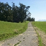 Cougar Mountain Drive