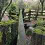 Howarth Park