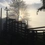 Bees Rock Ranch